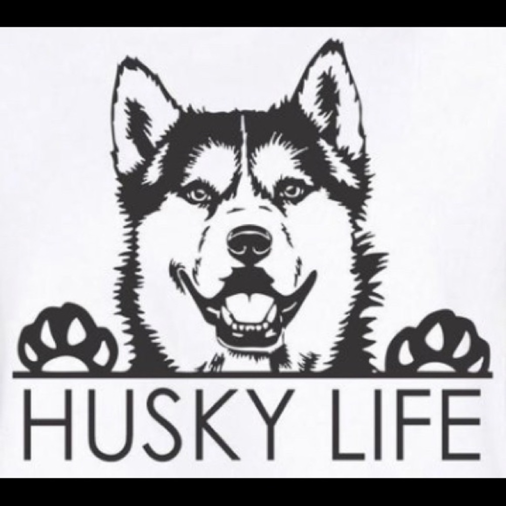 Husky life  vinyl decal for car, window, door, glasses, tumbler,etc 11 1/2” wide